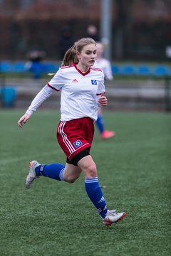 Bild 244 - wBJ Hamburger SV2 - Eimsbuettel 2 : Ergebnis: 2:1